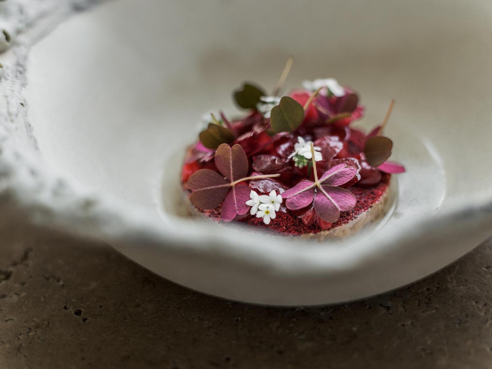 Botanic Sanctuary Antwerp - The Leading Hotels Of The World Exterior foto A dish at Noma